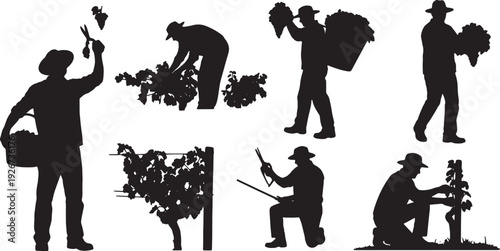 Black Solid Farmer Harvesting Grapes Silhouettes Set of Six on White Background