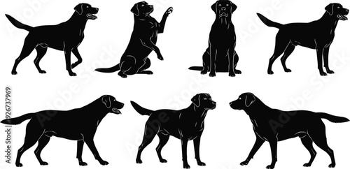 Labrador Retriever Dog Silhouette Collection with Standing, Sitting, Walking, and Playing Poses in Black Solid Vector Illustration Set