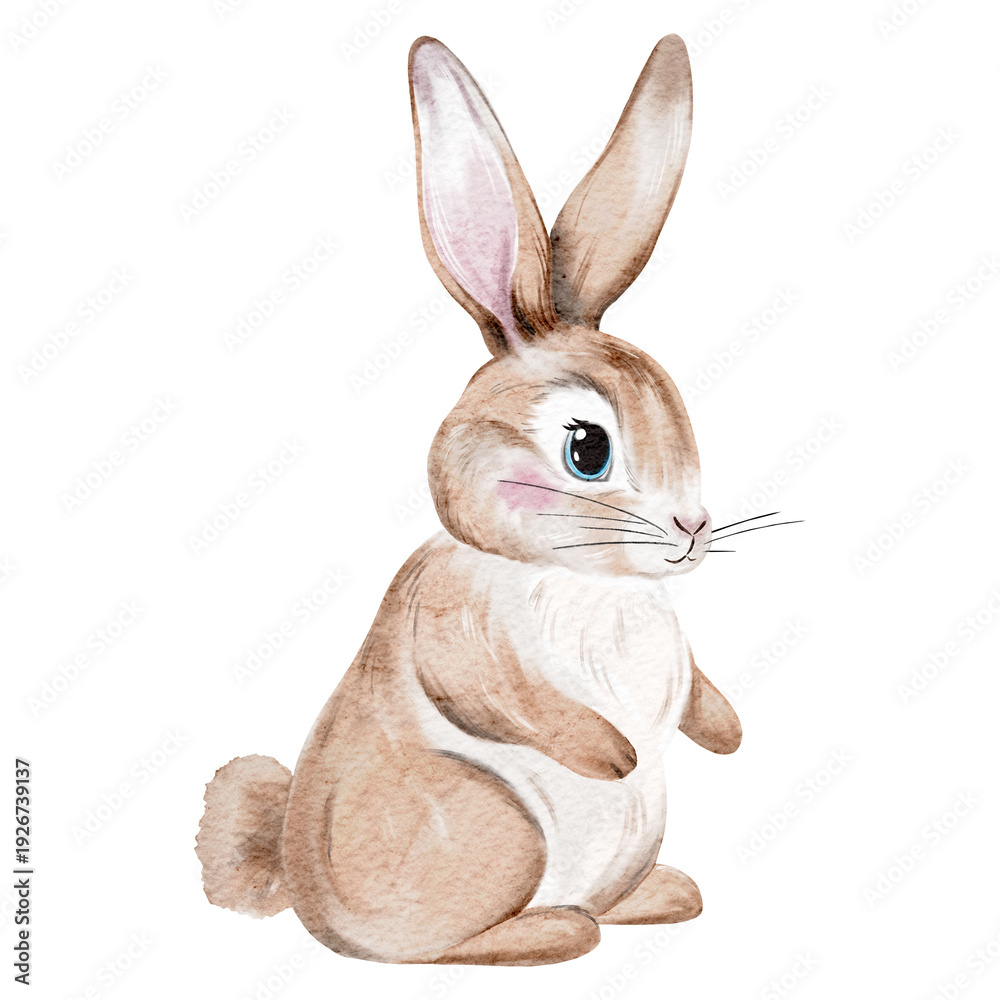 Fototapeta premium Watercolor Brown Bunny Side View Isolated on White Background