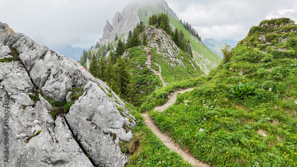 Obraz premium Drone view, aerial on beautiful mountain peak with rocks and alpine pine trees. A hiking trail is visible on the slopes. Sharp mountain peak. Big rocks and pine trees. Alpine landscape. Outdoor activi