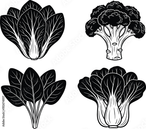 Black vector silhouette and line art illustration set of fresh leafy green vegetables including bok choy spinach and broccoli for healthy organic food branding (24 words)
