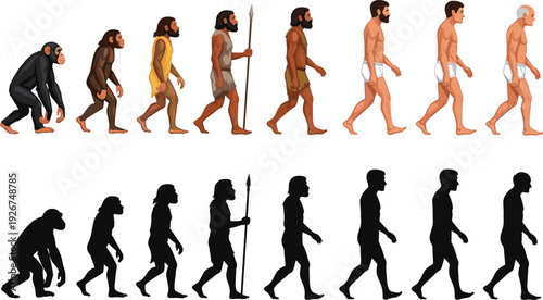 Illustration of Human Evolution, from Early Ancestors to Modern Humans, in Color and Silhouette Forms for Educational and Scientific Projects