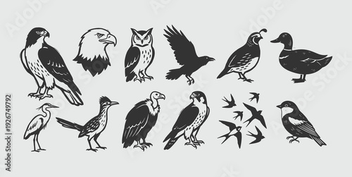 Neo-Minimalist Wild Birds Vector Set - Hand-Drawn Avian Icons