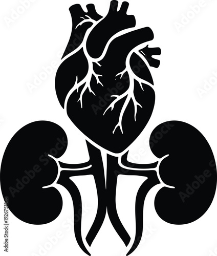 Human heart and kidneys vector icon a black silhouette of these vital organs symbolizing human health medicine and anatomy for web design apps presentations