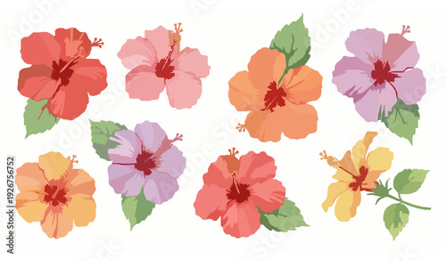 Hand-painted watercolor hibiscus flowers vector collection in vibrant tropical colors on white background