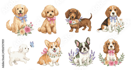 Watercolor dog breeds clipart set with pet corgi, retriever, beagle, dachshund, poodle, spaniel, maltipoo. Collection of Vector illustrations. Perfect for invitation, card, poster, banner, decoration