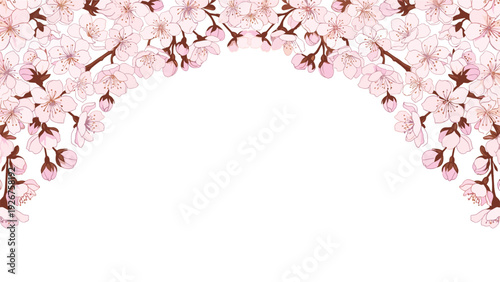 Beautiful arch of pink cherry blossoms and brown branches frames the top and sides of a clean white background in this floral illustration.