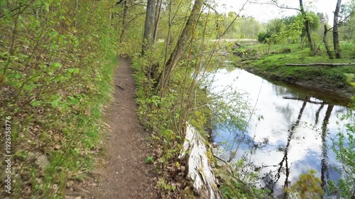 Wallpaper Mural First-person walk along a narrow dirt trail through lush spring forest beside a calm, slow-moving river. Fallen logs partially block the water, green foliage frames the serene natural scene.  Torontodigital.ca