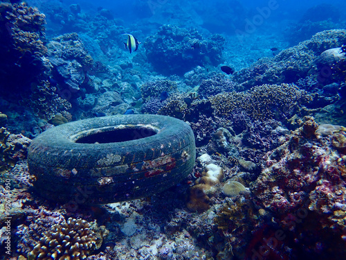 Discarded tire is on a coral reef underwater. Marine pollution contrasts with vibrant reef life and tropical fish in a blue ocean scene.