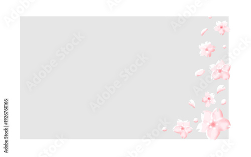 薄墨色の背景に桜の花のイラスト