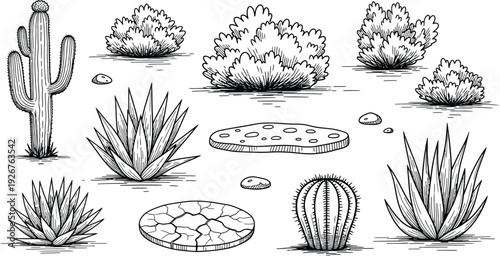 Black and White Vector Set of Desert Plants Featuring Saguaro Cactus Agave Aloe Vera Bush and Cracked Earth Ground for Arid Landscapes