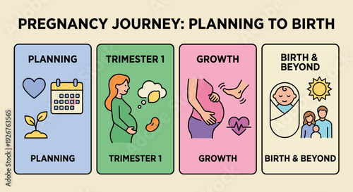 Pregnancy journey infographic showing four stages from planning to birth with colorful line art icons for each trimester, growth, and newborn family life on a light background