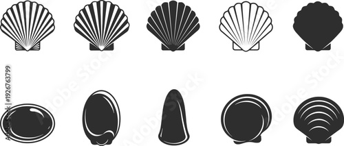Collection of various seashells in black and white