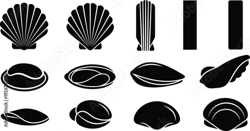 Black silhouettes of various seashells on white background