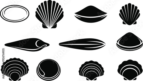 Collection of elegant black seashells on white background