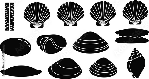 Collection of various seashells and ocean elements in black