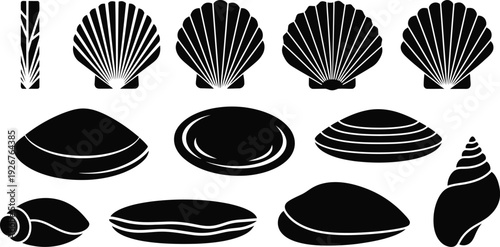Collection of elegant black and white seashells on clean background