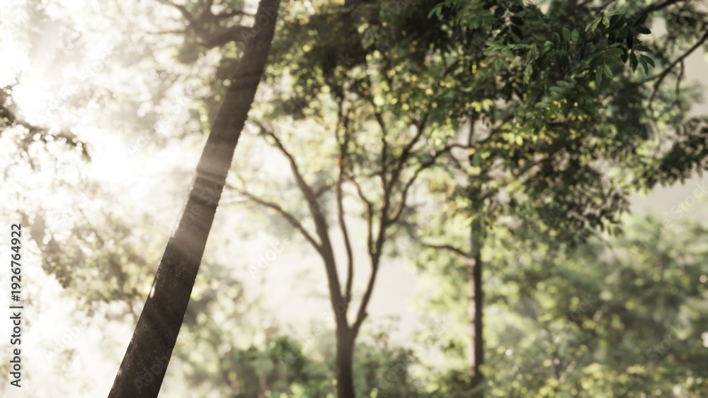 Obraz premium Soft sunlight streams through lush green leaves in a tranquil forest. The scene captures the peaceful start to the day, inviting a sense of calm and connection to nature.