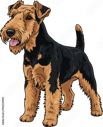 Welsh Terrier dog standing happy panting smiling illustration