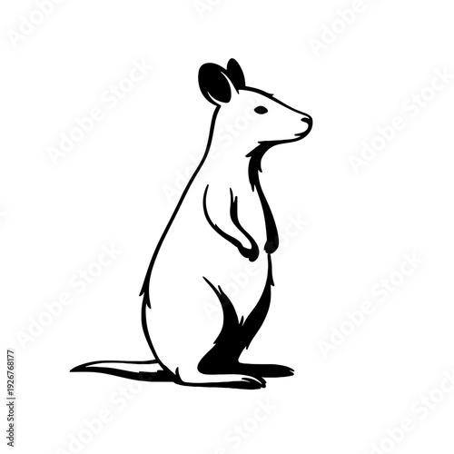 Tree Kangaroo. Tree Kangaroo simple black and white line art vector logo