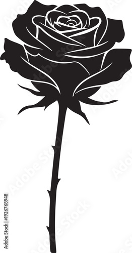 Black rose silhouette with thorny stem on white background