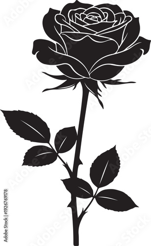 Black rose silhouette with thorny stem on white background