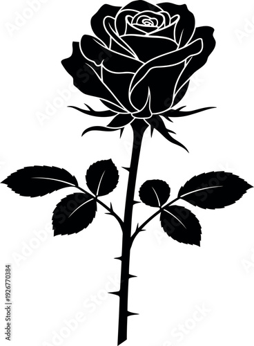 The happy moment of gifting your girlfriend a rose.