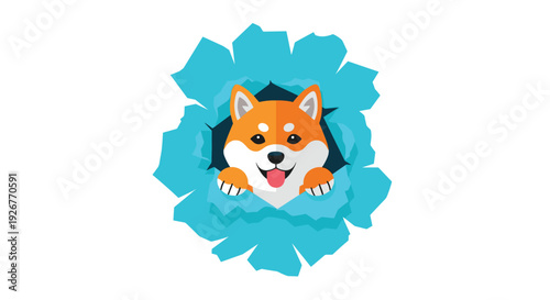 A cute orange and white Shiba Inu dog with its tongue out peeks through a jagged hole torn in a sheet of bright blue paper.