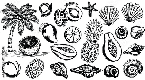 Bali, Thailand or tropic style vacation. Hand drawn vector illustrations. Grunge rough doodle sketch coconut palm tree, exotic fruit and seashell. Blue chalk charcoal drawings for poster, placard 2026