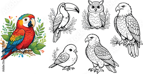 Set of Majestic Bird Illustrations Featuring a Colorful Parrot and Detailed Line Art Outlines of a Toucan Owl and Eagle for Nature Branding Logo