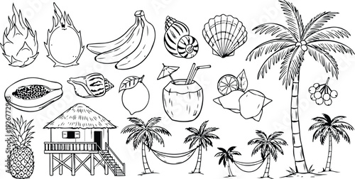 Bali, Thailand or tropic style vacation. Hand drawn vector illustrations. Grunge rough doodle sketch coconut palm tree, exotic fruit and seashell. Blue chalk charcoal drawings for poster, placard