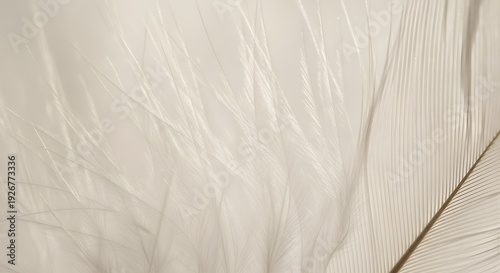 A close-up view of a crumpled white fabric with textured folds and creases