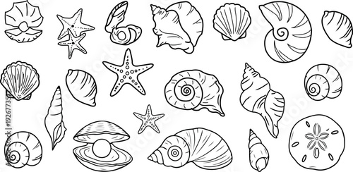 Nautical Seashell Starfish Marine Life Hand Drawn Collection