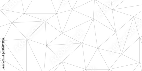 black vector poly triangle texture. clean and modern science chemical theme background. Abstract geometric pattern composed of triangular. white black vector triangle mosaic wallpaper , vector.