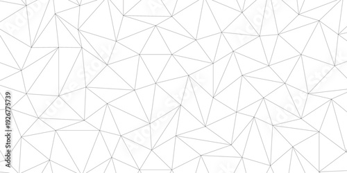 black vector poly triangle texture. clean and modern science chemical theme background. Abstract geometric pattern composed of triangular. white black vector triangle mosaic wallpaper , vector.