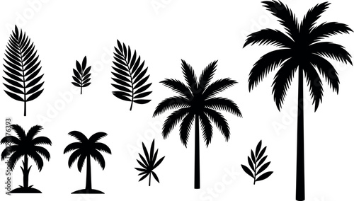Black palm tree and tropical leaf silhouettes collection isolated on white background, minimalist botanical icons set for summer design, travel branding, nature vector illustration