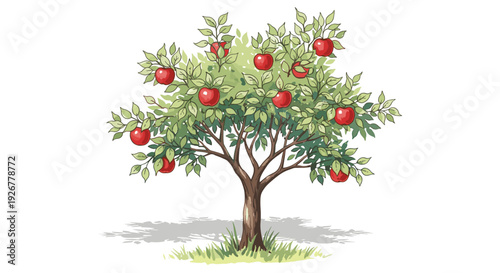 Red apple tree with ripe fruit, lush green leaves natural orchard illustration isolated on white background artwork