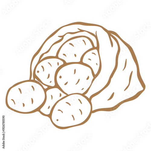 vector illustration of a potatoes in sack