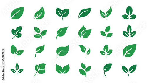 Collection of various green leaf shapes and sizes on white background