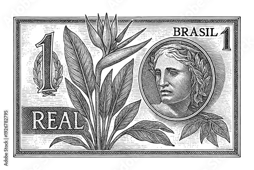 Intricate engraving of brazilian currency featuring flora and classical profile