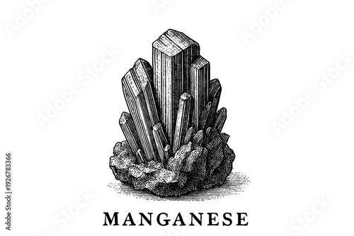Detailed vintage manganese crystal drawing on white background