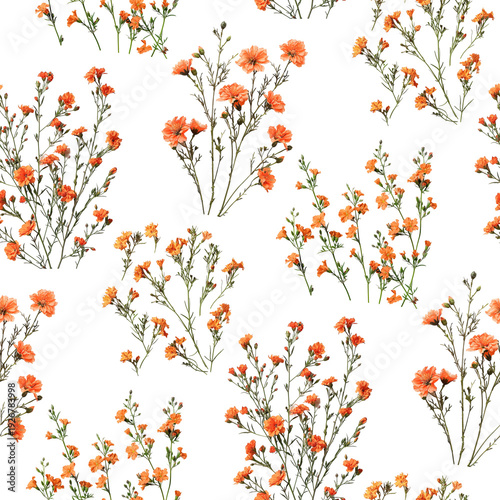 Orange wild flowers botanical seamless pattern background
