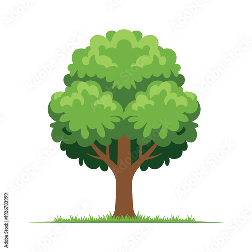 Lush green tree stands tall with vibrant foliage against a clean white background showcasing nature's beauty in a minimalist style