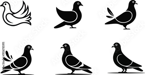 Silhouette of various pigeons in different poses and a line drawing