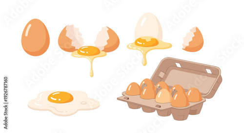 Egg Stages Collection with Carton Fried and Cracked Eggs