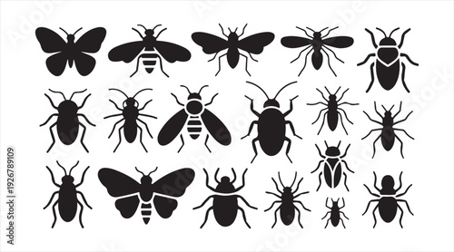 Minimal insect icon set for nature biology and pest control design projects