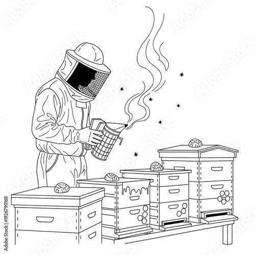 Beekeeper tending to beehives with smoke to calm the bees, vector illustration.