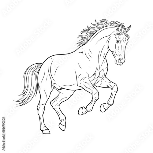 Elegant outline illustration of a prancing horse on a white background.
