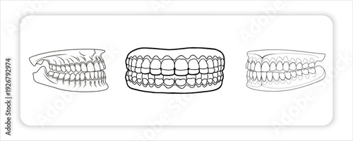 Dental health concept Smiling human lips with full set of upper and lower teeth, dental health concept, teeth illustration, oral hygiene, dentistry, black line art