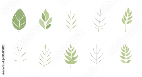 leaf, icon, illustration, isolated, vector, nature, plant, botanical, foliage, green, eco, ecology, organic, natural, symbol, flat, simple, minimal, outline, lineart, silhouette, graphic, design, clip